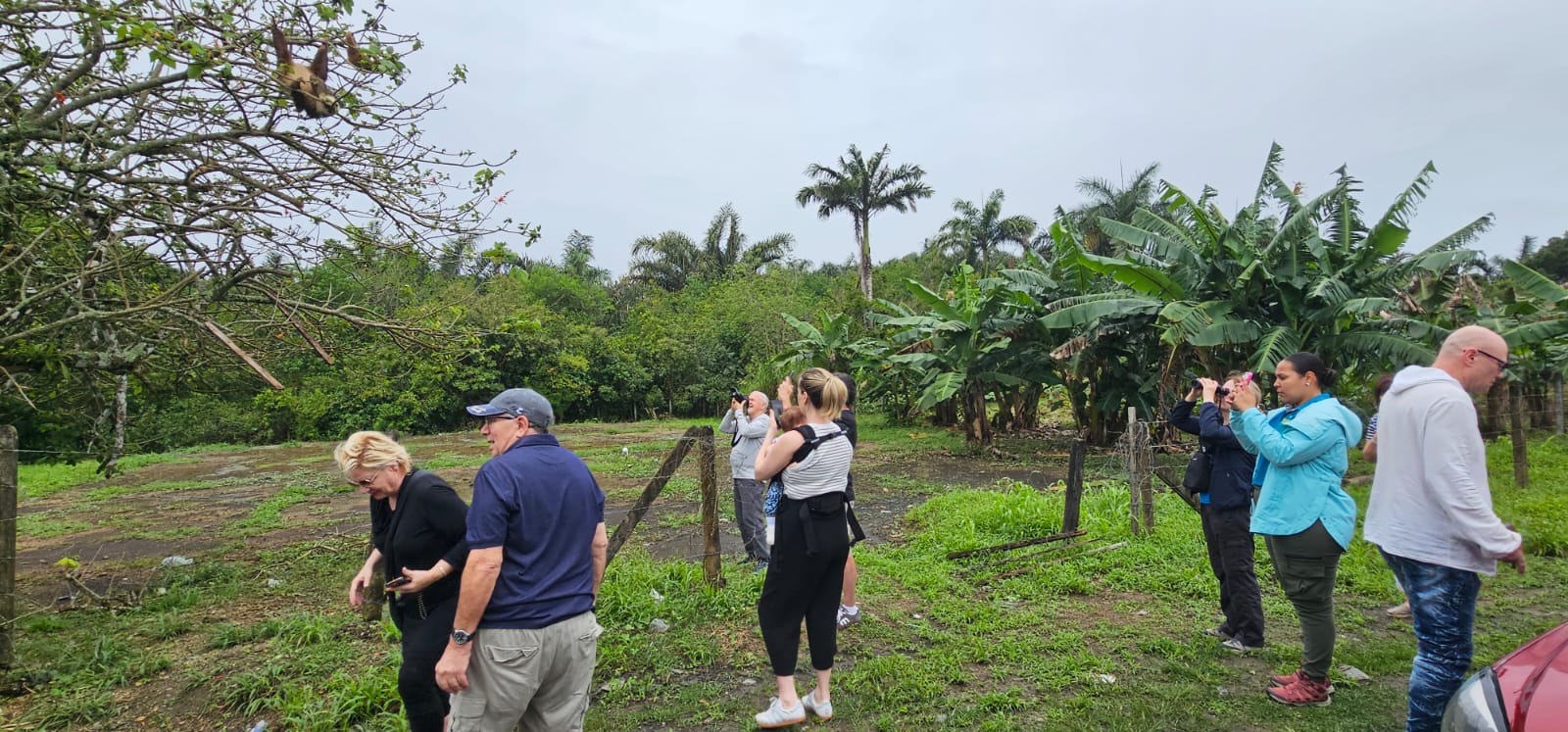 Tourists watching wildlife